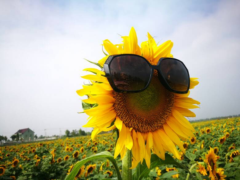 ��������տ����ڿ����ˡ�