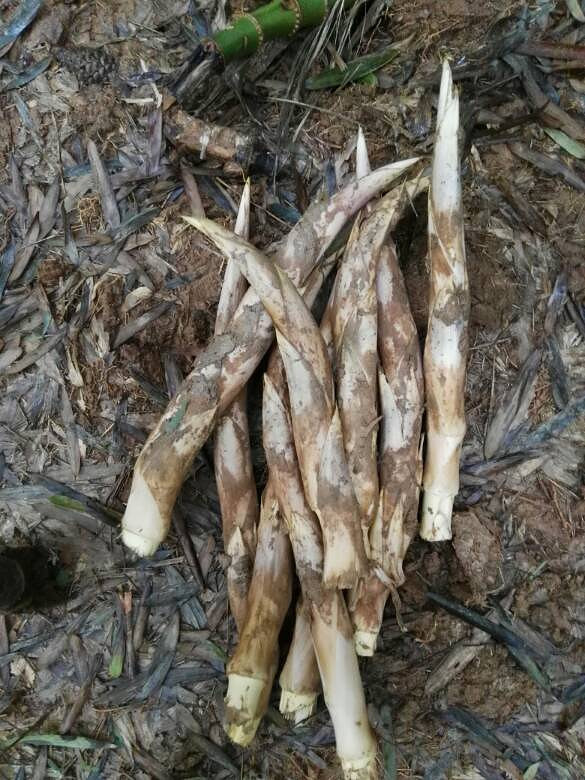 �ϱ����ز�