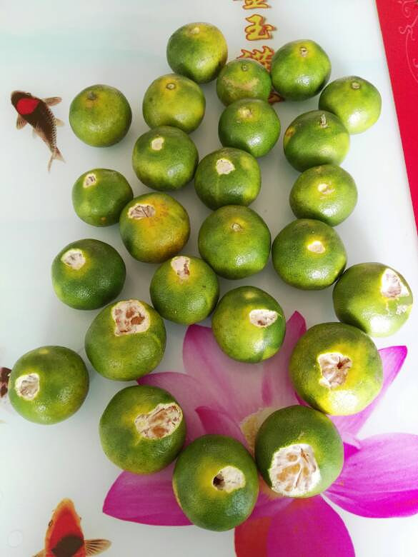 �ϱ����ز�