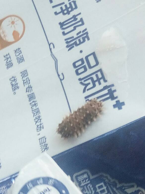 ��˭֪������ʲô���𡣡�