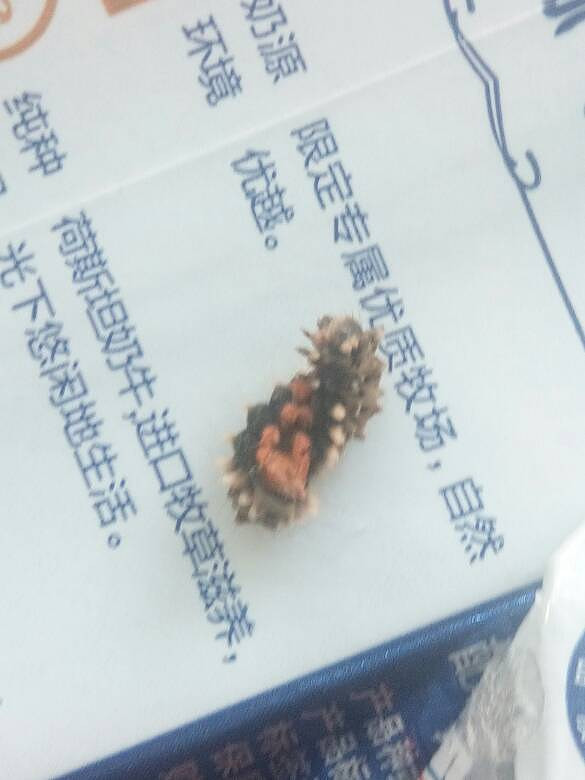 ��˭֪������ʲô���𡣡�