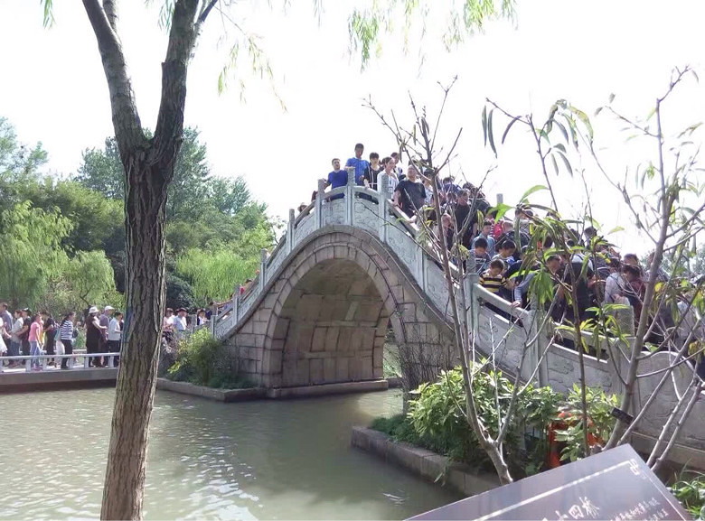 ����ɹͼ����