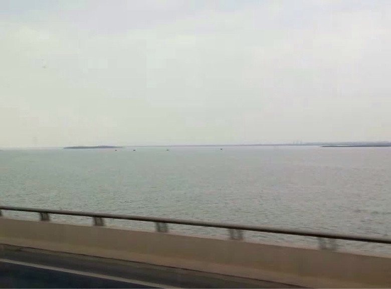 ����ɹͼ����