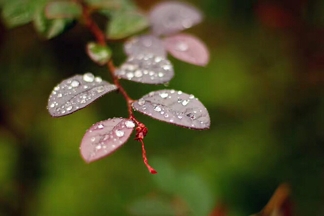 �����ݲ�