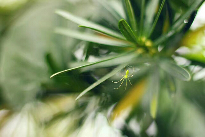 �����ݲ�