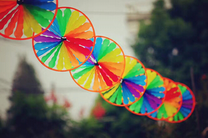 �����ݲ�