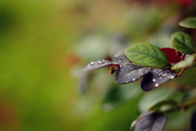 �����ݲ�