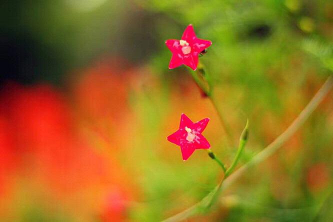 �����ݲ�