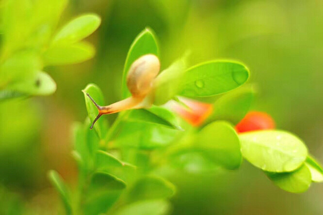 �����ݲ�