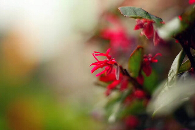 �����ݲ�