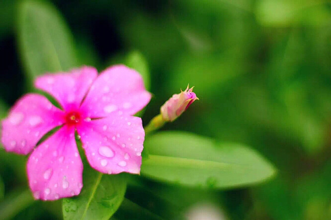 �����ݲ�