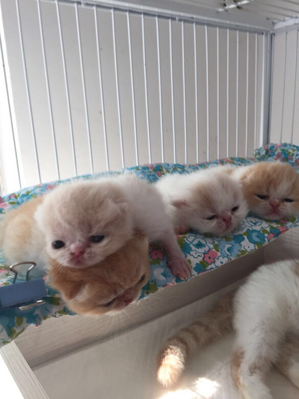 ������Ҫ����ȥ��