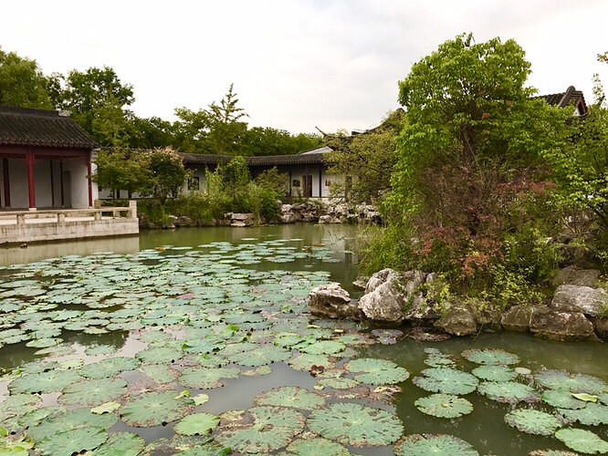 ������԰