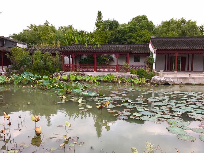 ������԰