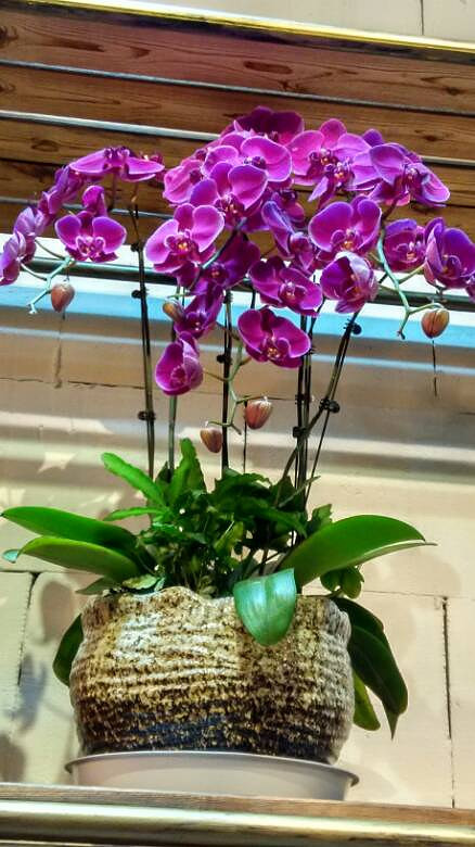 19¥�����콱��