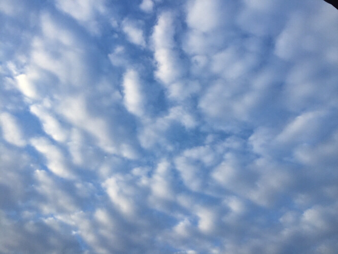 һ�磬��������̵�