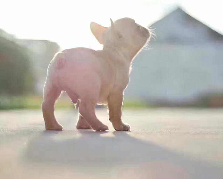 �磬��ů�����⣬����