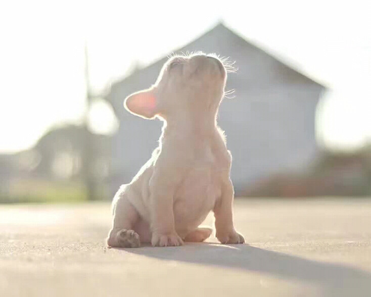 �磬��ů�����⣬����