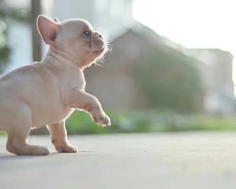 �磬��ů�����⣬����