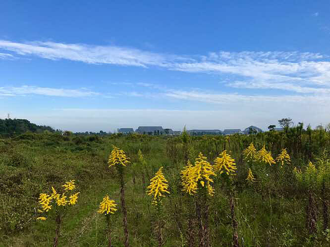 ���� ��ҵ�