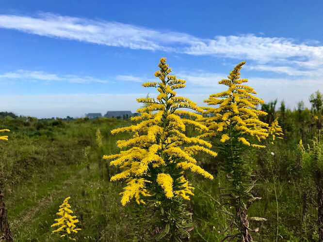 ���� ��ҵ�