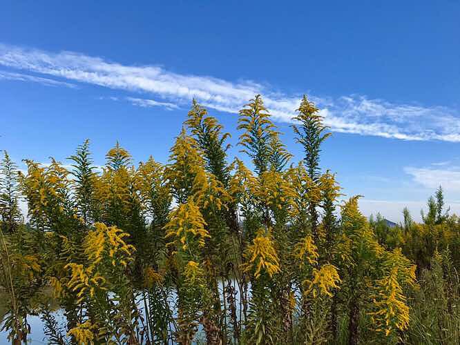 ���� ��ҵ�