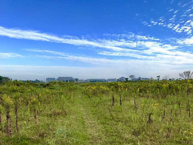 ���� ��ҵ�