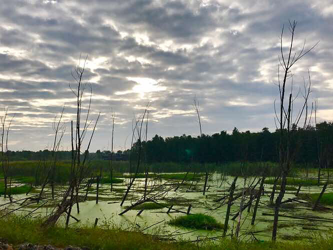 ���� ��ҵ�