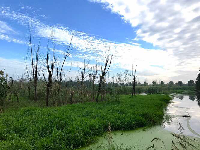 ���� ��ҵ�