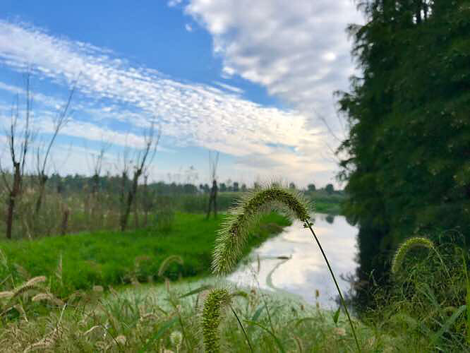 ���� ��ҵ�