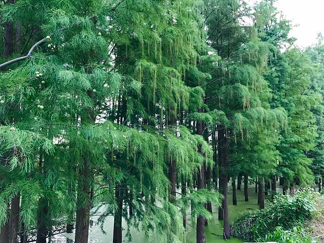 ���� ��ҵ�