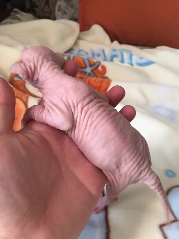 ̫����ů��������ɹɹ˯��ֶŮ��С���ϣ���