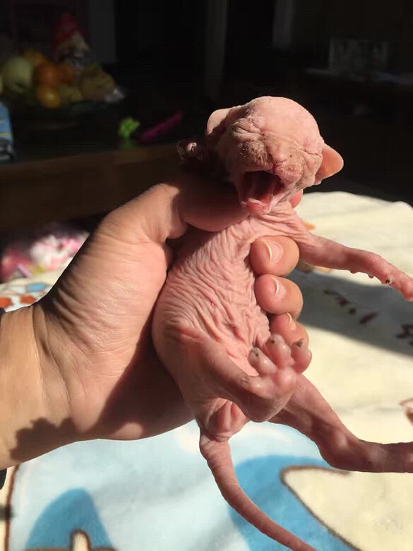 ̫����ů��������ɹɹ˯��ֶŮ��С���ϣ���