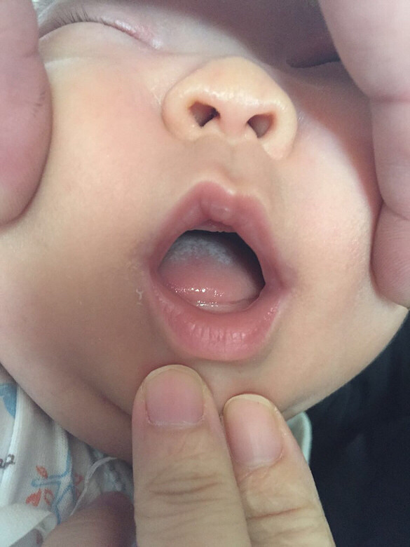 ������Ӥ������ÿ�ο��֣�����