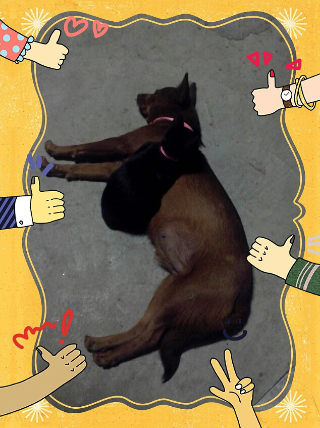 �@ �� ȡ ů �� ʽ ͦ �� �� �A ��