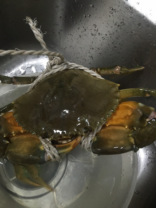 �����Ƽ�з������ôŪ�����أ�������