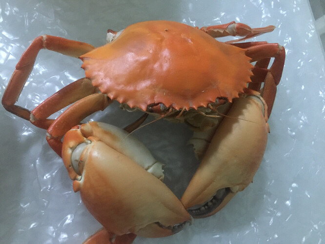 ������˳�����������ʧ���˲�֪���ǲ�����