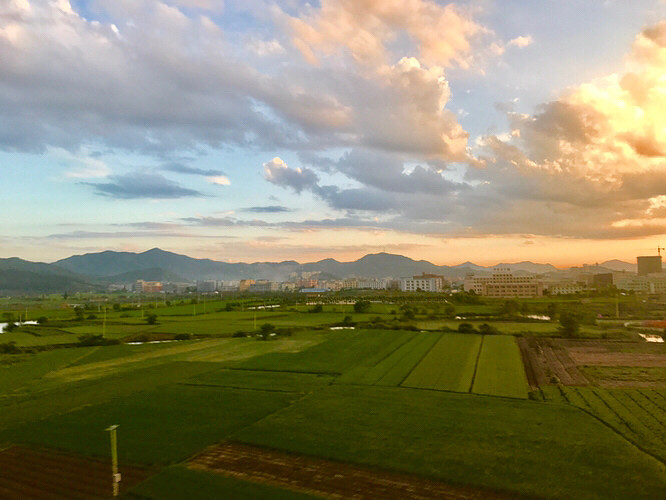 ������;