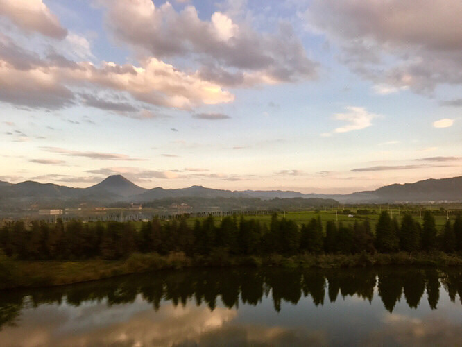 ������;