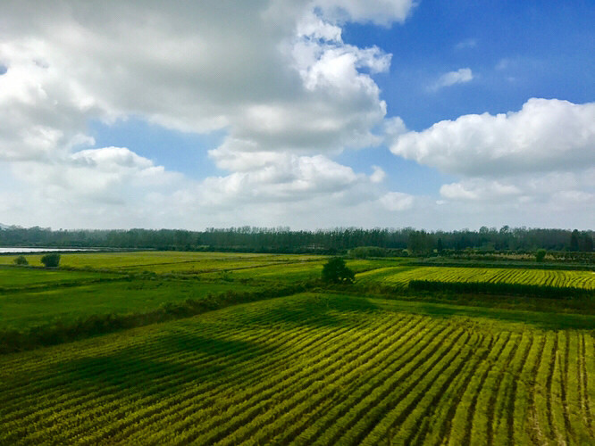 ������;