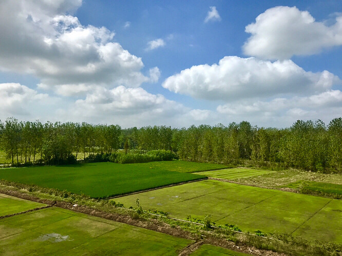 ������;