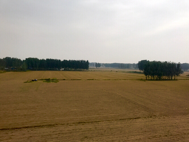 ������;