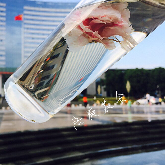 ������Ķ�����