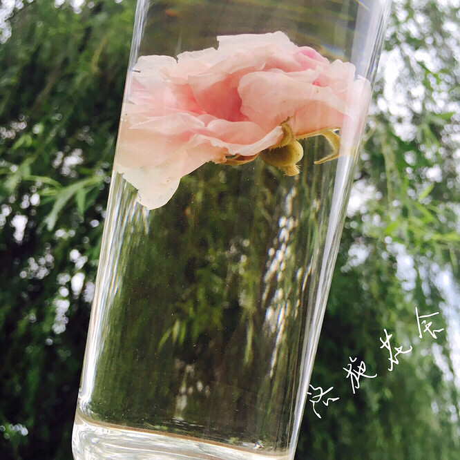 ������Ķ�����