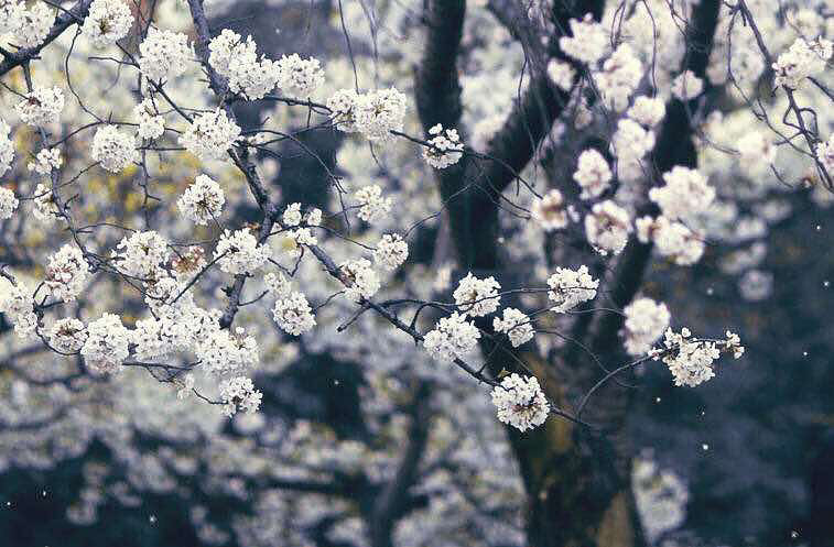 �����£��ΰ׷��� �����ߺ��Ҳ�֪������