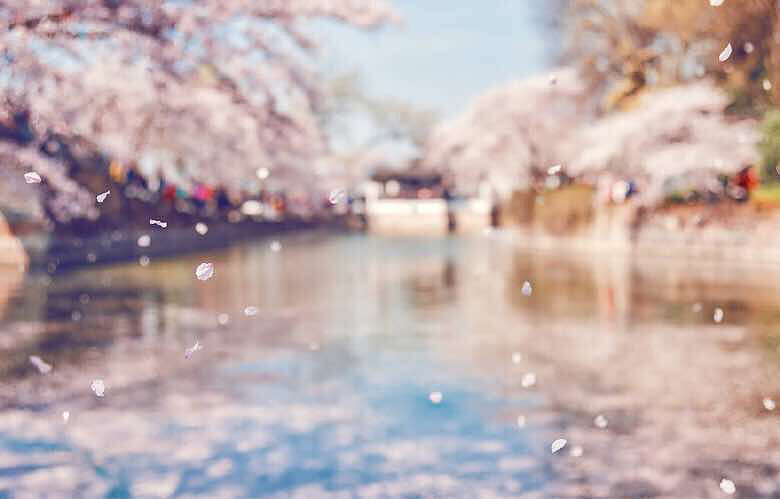 �����£��ΰ׷��� �����ߺ��Ҳ�֪������