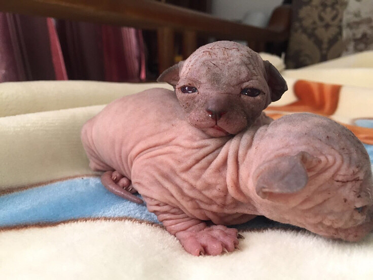 �����ˣ��ǵñ�ů��