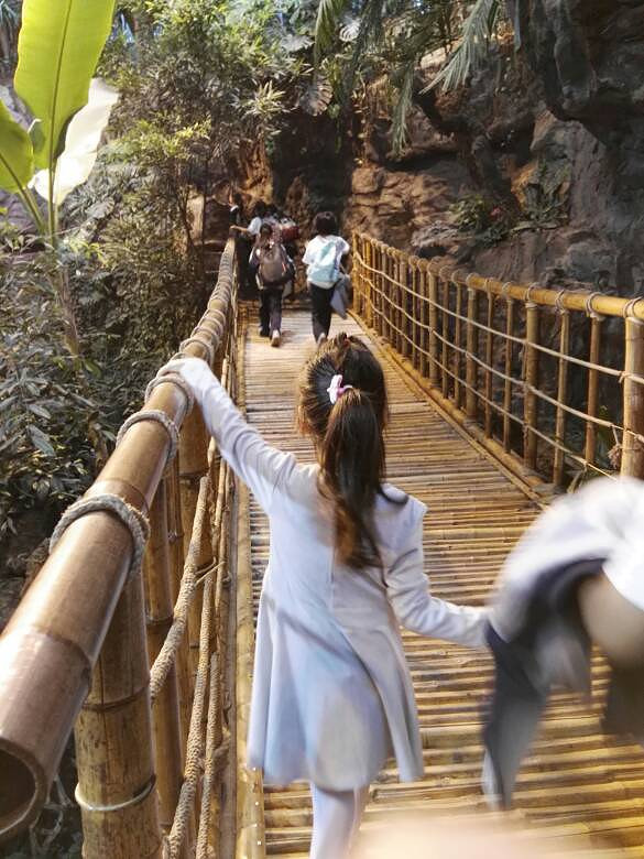 �Ϻ��Ƽ���