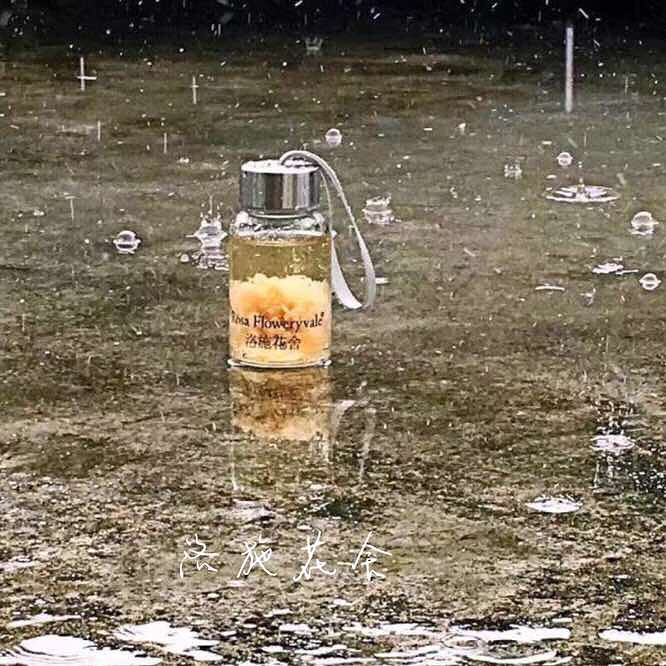 ���е��㡭���簲