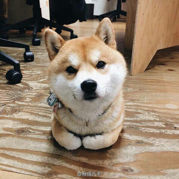 �����ֻ����ܸĹ�������